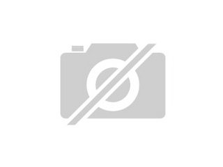 Zusatzgeschäft für Handelsvertreter